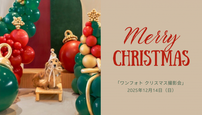 ワンちゃん・お子様ご参加OK！ 『ワンフォト クリスマス撮影会』開催のお知らせ